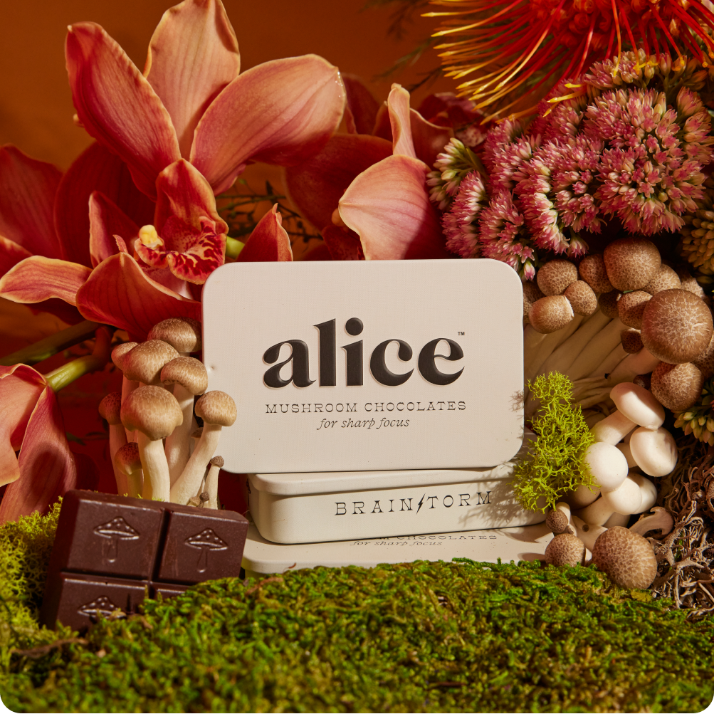 Alice Mushroom Chocolates with flowers and mushrooms on a textured surface