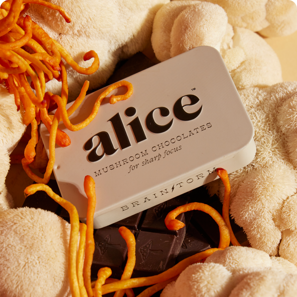 Mushroom chocolates with 'alice' branding on a textured surface