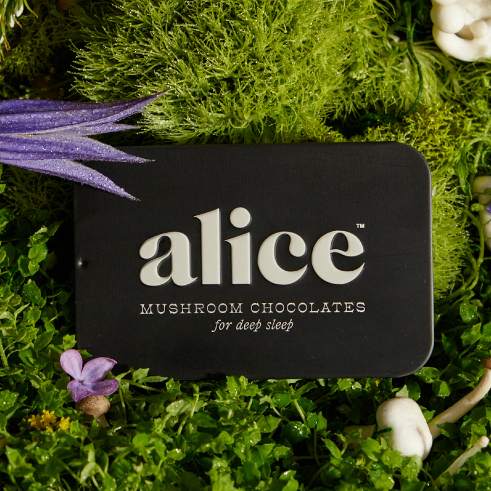 Black card with 'alice' brand name on a green leafy background
