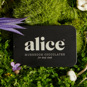 Black card with 'alice' brand name on a green leafy background
