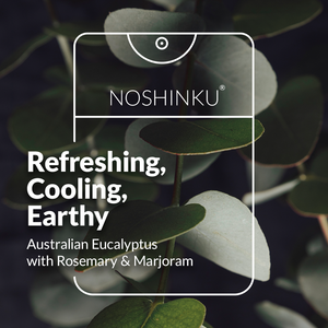Noshing | Eucalyptus Rosemary Nourishing Sanitizer Travel Refill Pouch