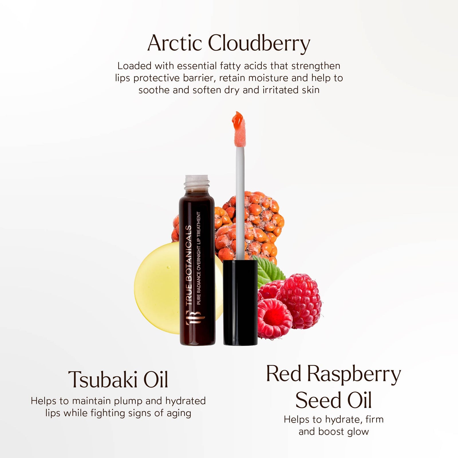 True Botanicals | Overnight Repair Lip Treatment