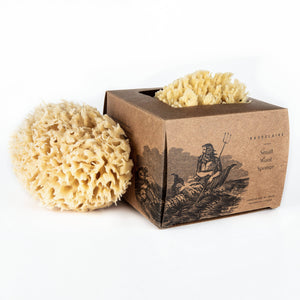 Bath Sea Sponge Gift Box - Small 4.5"