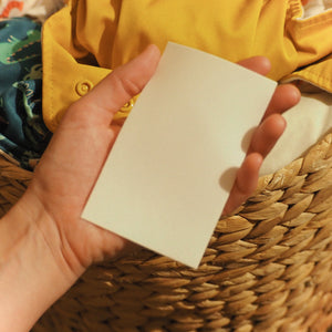 Nantucket Spider | Travel Concentrated Laundry Detergent Strips