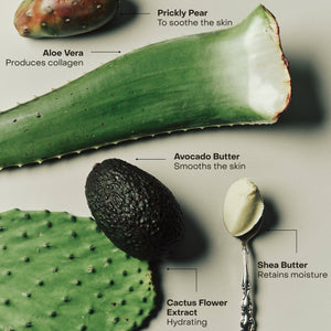 Sidia | Soaked The Cream