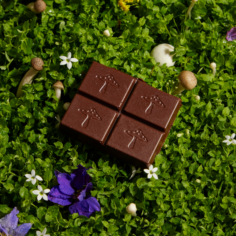 Chocolate bar with tree designs on a green surface with flowers