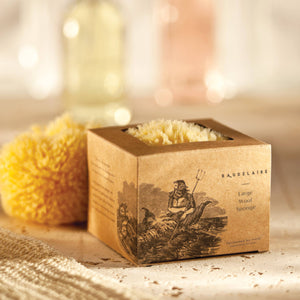 Baudelaire | Bath Sea Sponge Gift Box - Large 5.5"