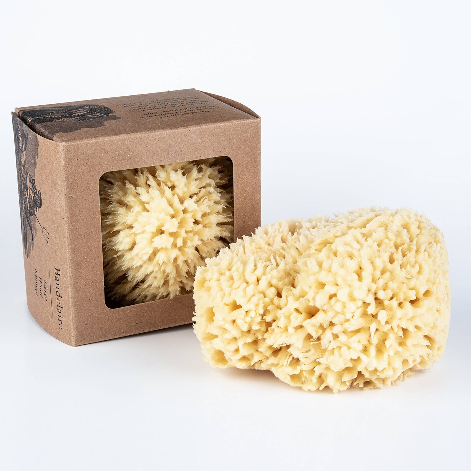 Baudelaire | Bath Sea Sponge Gift Box - Large 5.5"