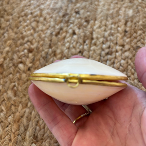 Hand holding a small white shell with gold trim against a textured beige background