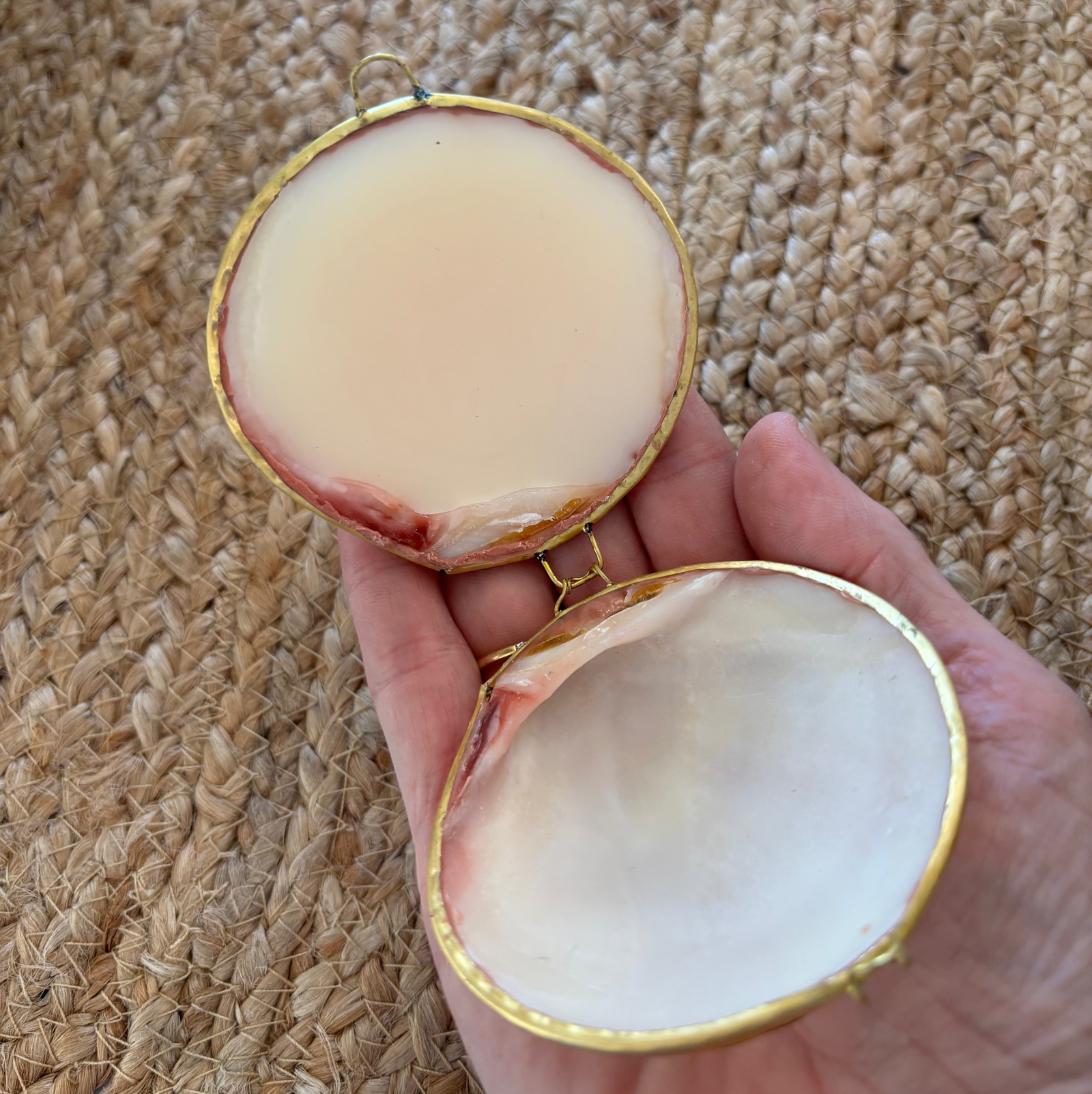 Organic shell lip balm with packaging and labels on a white surface