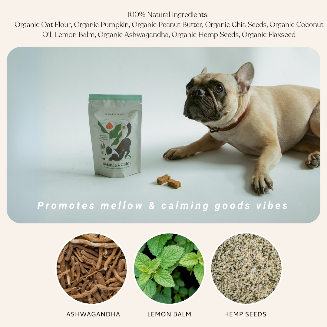 An infographic for the balance and calm dog treats, by botanical bones