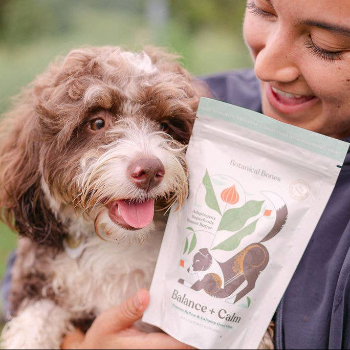 A person holding a dog and a bag of botanical bones balance and calm dog treats
