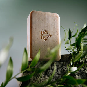 A body cleansing bar, sitting on a rock and surrounded by greenery. 