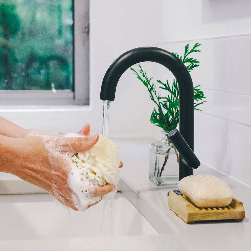 Baudelaire | Bath Sea Sponge Gift Box - Large 5.5"