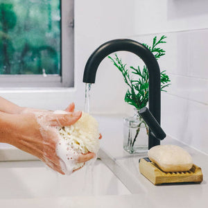 Baudelaire | Bath Sea Sponge Gift Box - Large 5.5"