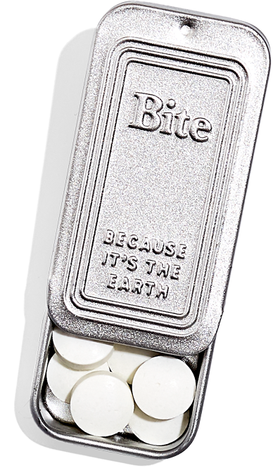 A travel sized silver toothpaste bite case.