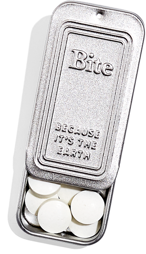 A travel sized silver toothpaste bite case.