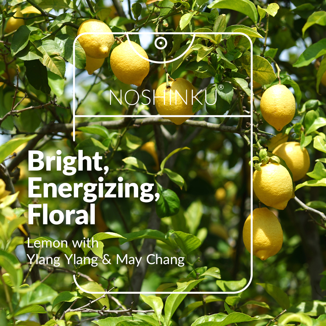 Noshinku | Refillable Moisturizing Pocket Sanitizer - Lemon Ylang-Ylang