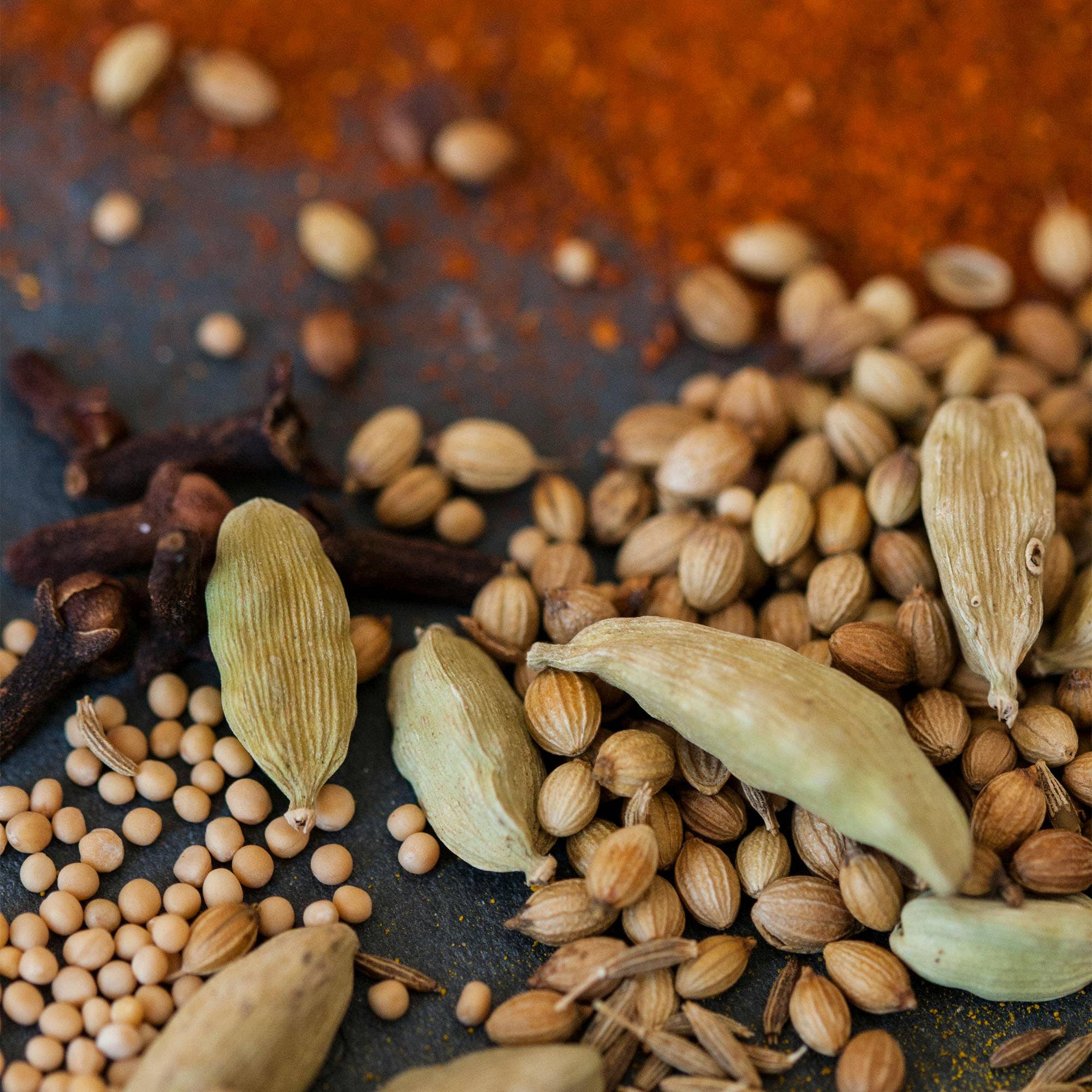 Assorted spices including cardamom pods, cloves, and coriander seeds on a dark surface.