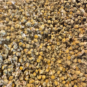 Close-up of dried yellow flowers and herbs