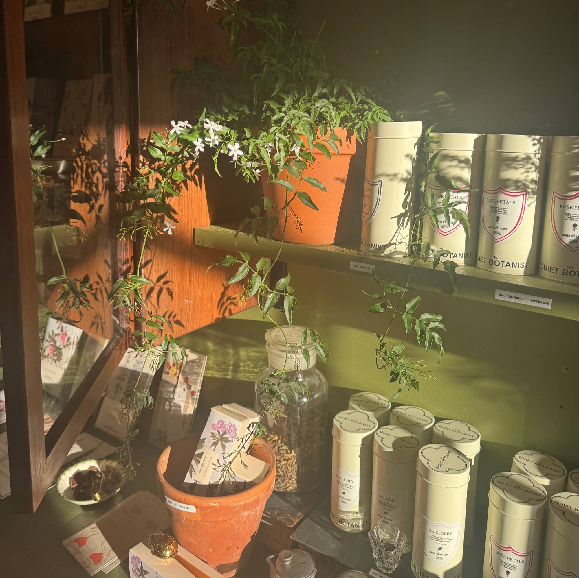 Display of plants and bottles in a store setting