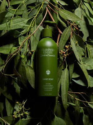 Flamingo Estate Garden Essentials Clary Sage hand soap, on a bed of green vines