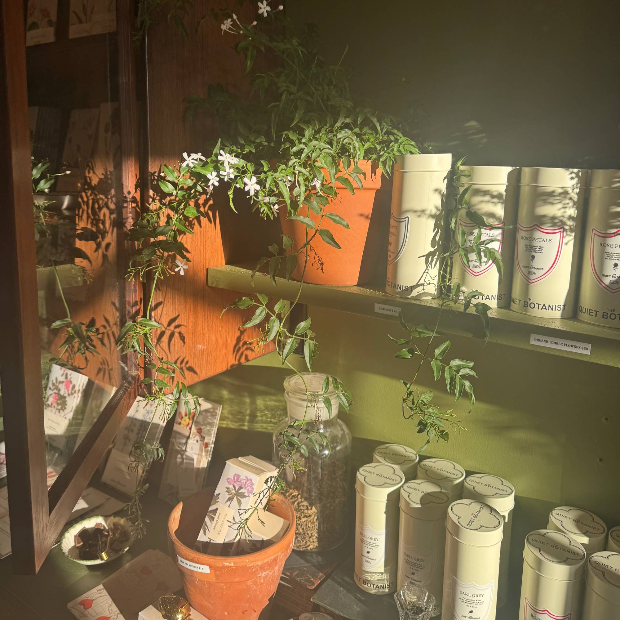 Display of plants and bottles in a store setting