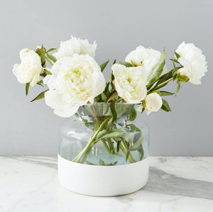 A white and clear color blocked vase with white peonies on a marble surface. 
