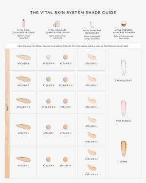 Vital Skin System Shade Guide with foundation stick, drops, concealer, and pressed powder samples.