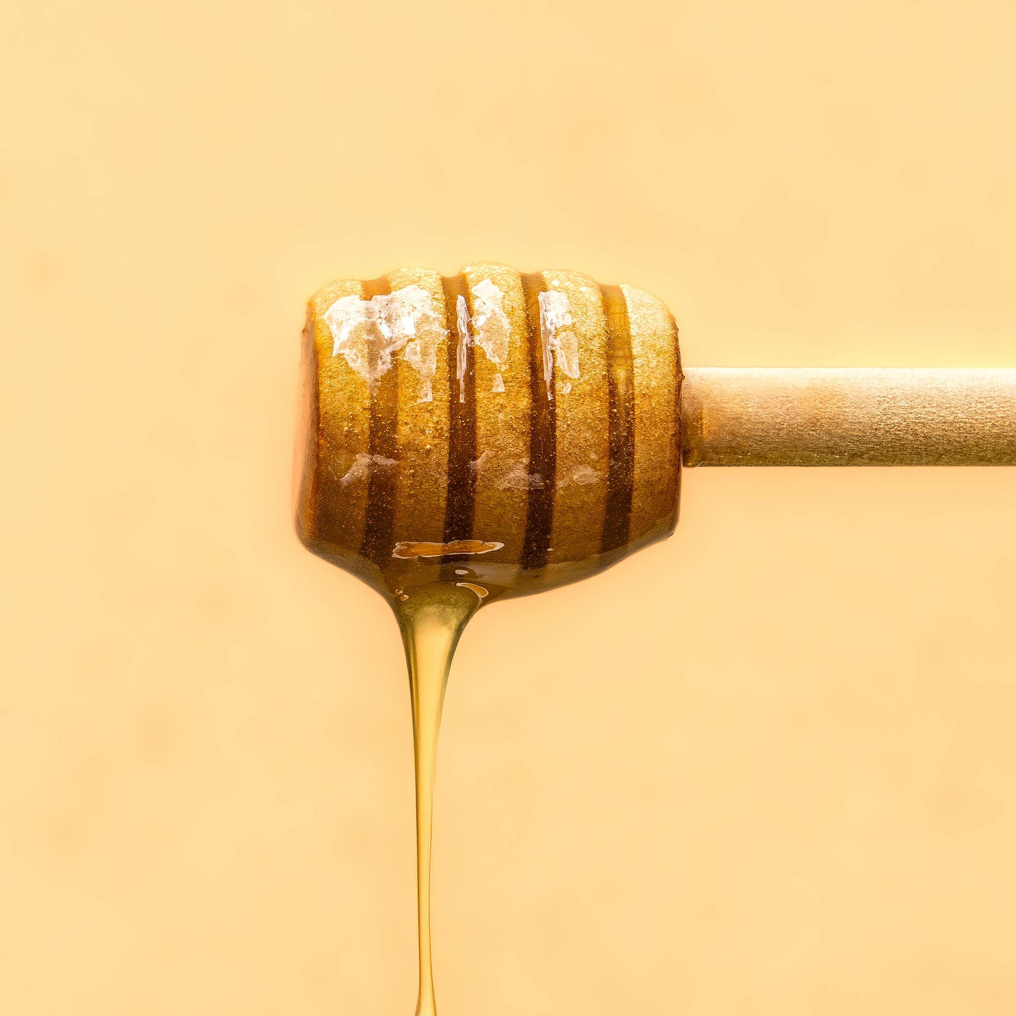 Vitruvi | Golden Fig Air Scent Refill