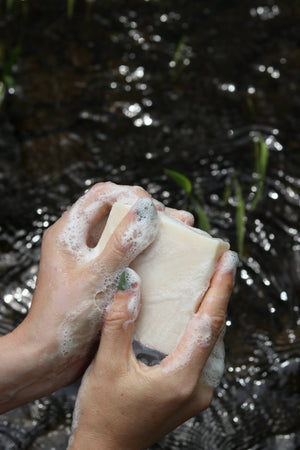 My Neighbor's | Lavender Tallow Soap