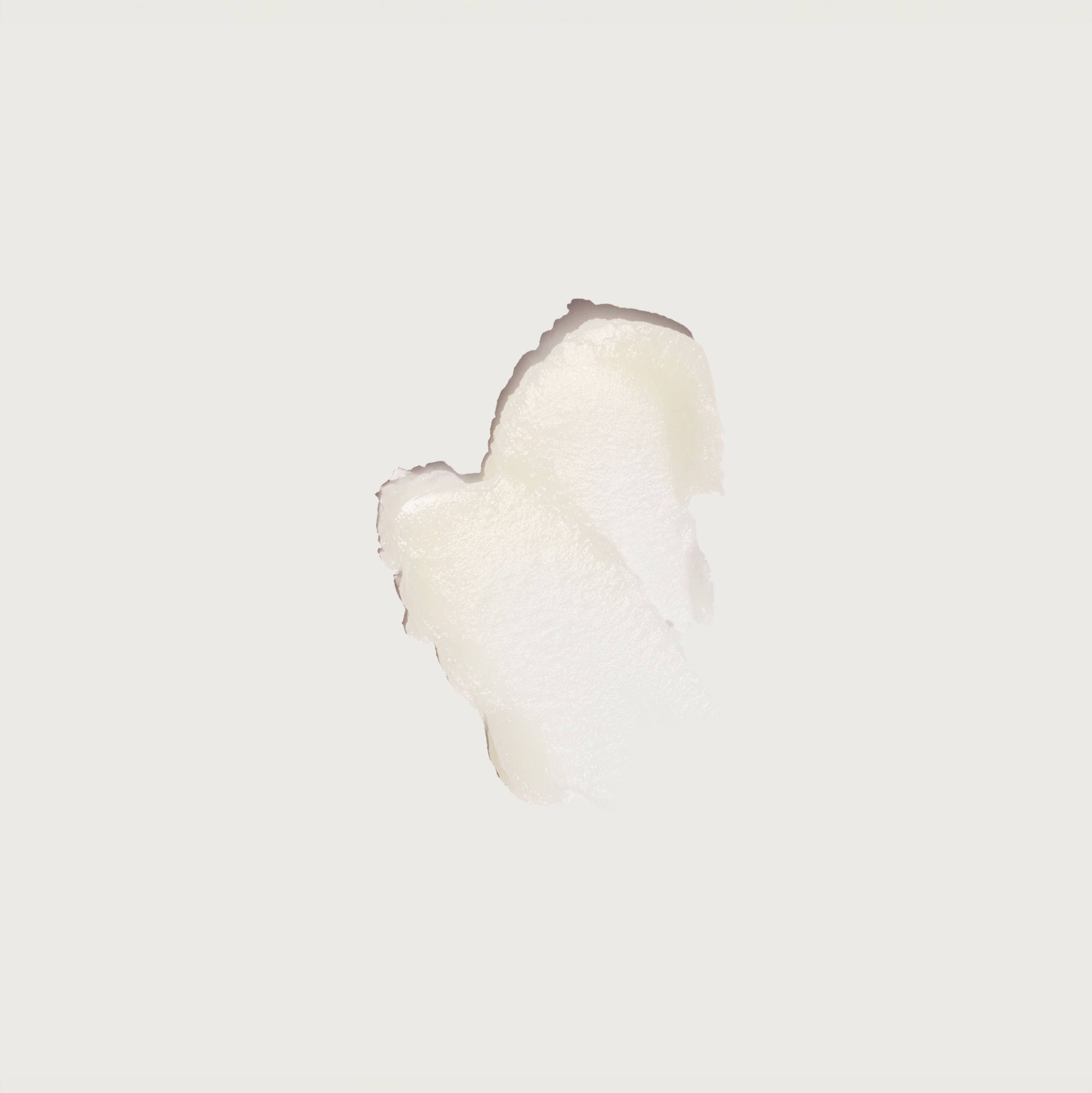 White feather on a light gray background