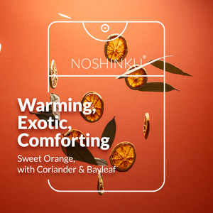 Noshinku | Refillable Moisturizing Hand Sanitizer - Orange Coriander