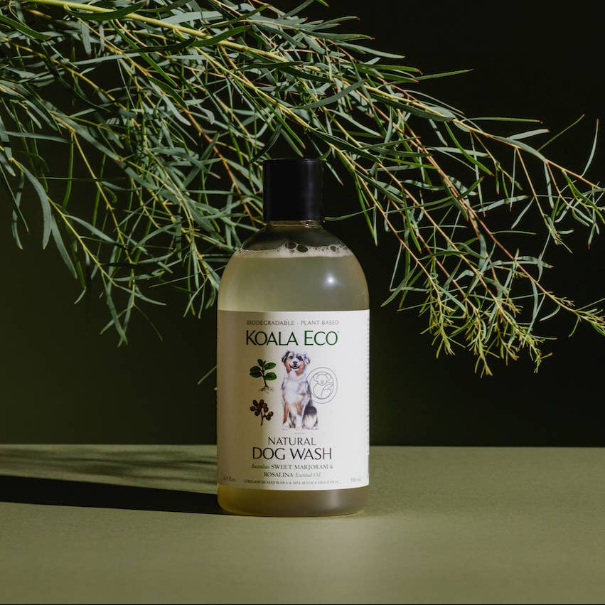 A bottle of Koala Eco natural, organic dog wash under a green branch