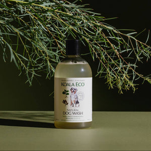 A bottle of Koala Eco natural, organic dog wash under a green branch