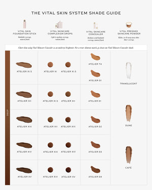 Vital Skin System Shade Guide with foundation stick, complexion drops, concealer, and pressed skincare powder swatches.