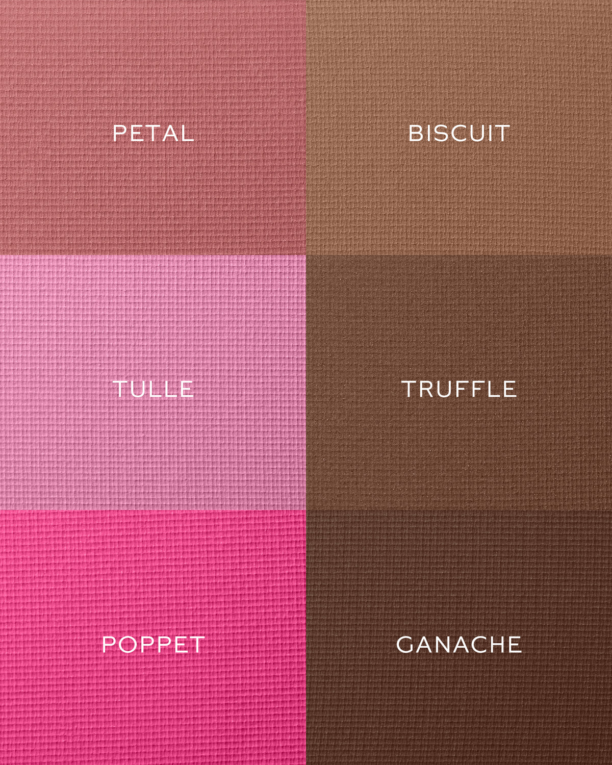 Color swatches labeled 'Petal', 'Biscuit', 'Tulle', 'Truffle', and 'Ganache' on a textured background.