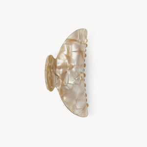 Shell-shaped hair clip on a white background