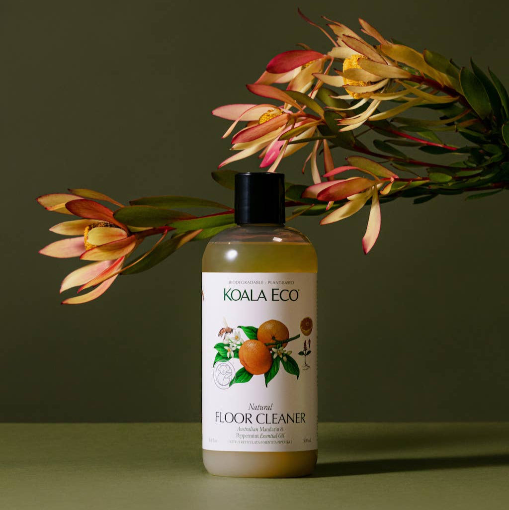 A bottle of koala eco floor cleaner and a flower on a green background. 