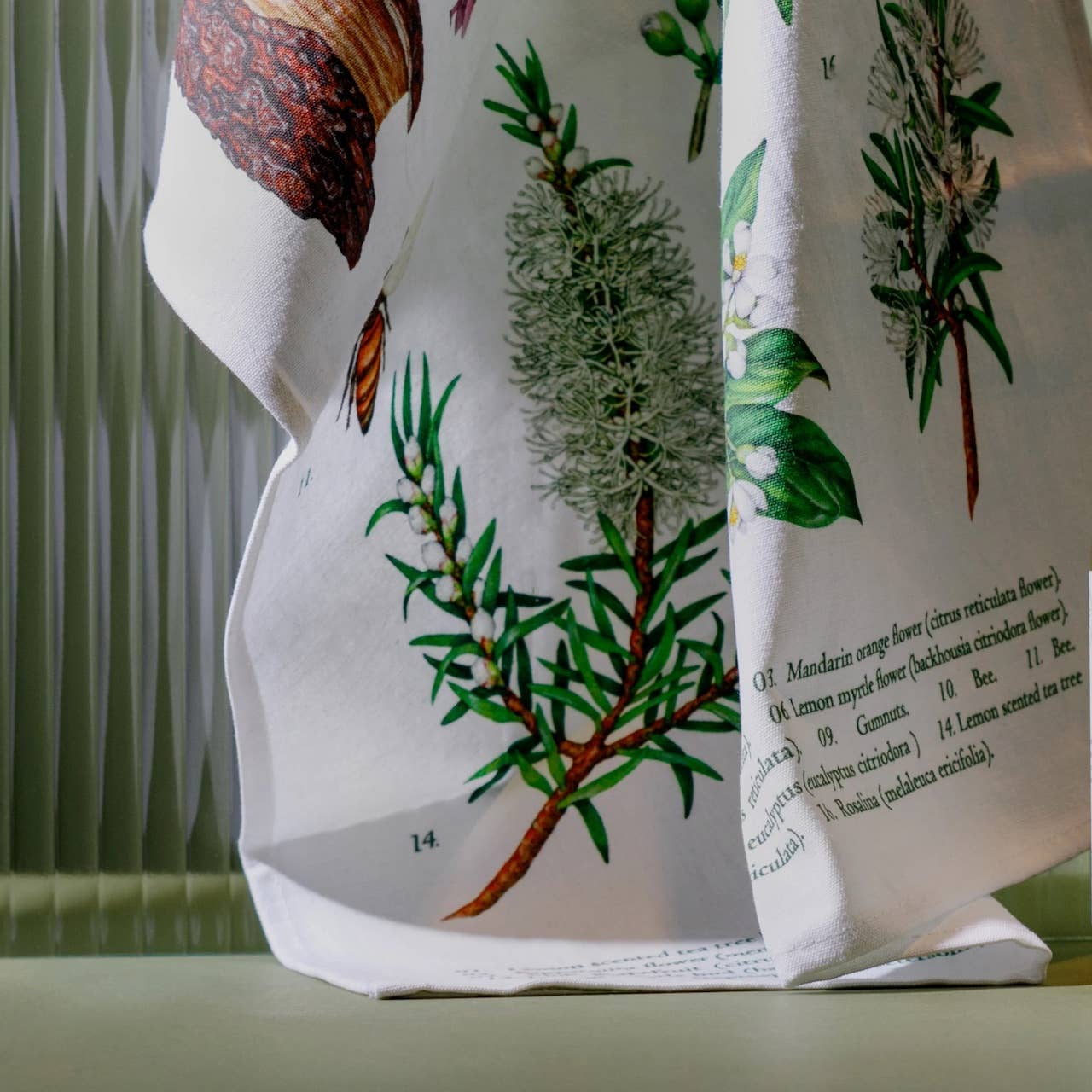 The koala eco tea towel, printed with botanicals and fruit