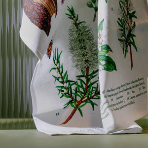 The koala eco tea towel, printed with botanical prints and text