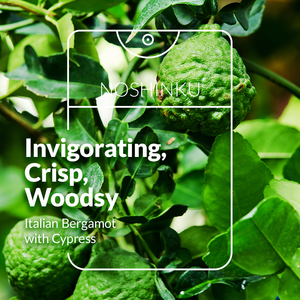 Noshinku | Refillable Moisturizing Pocket Hand Sanitizer - Bergamot