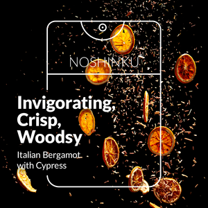 Noshinku | Bergamot - Cypress Nourishing Sanitizer Travel Refill Pouch