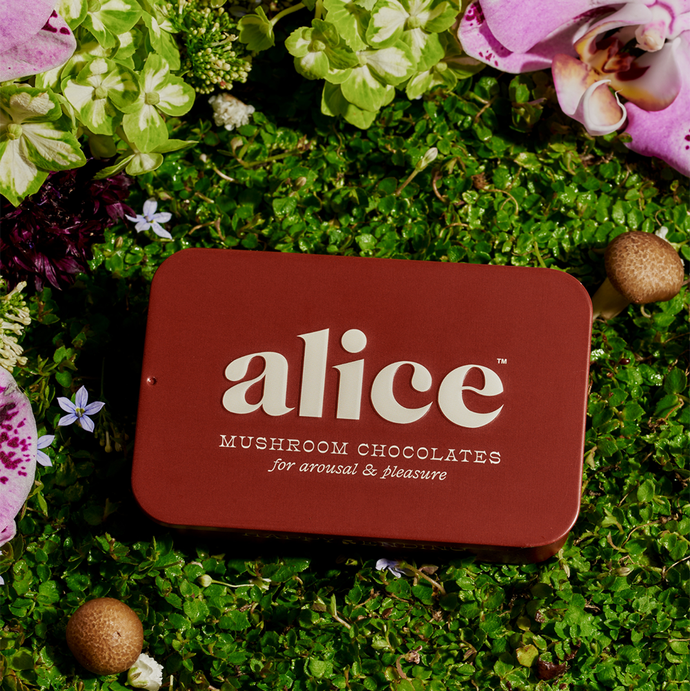 Red tin labeled 'alice mushroom chocolates' on a green moss background with flowers and mushrooms.