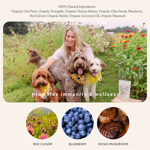 Flower power dog treats have 100% natural ingredients of organic oat flower, organic pumpkin, organic peanut butter, organic chia seeds, blueberry, red clover, organic reishi, organic coconut oil, and organic flaxseed