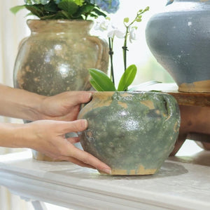 A person holding a Found Blue Confit Pot with an orchid inside. 