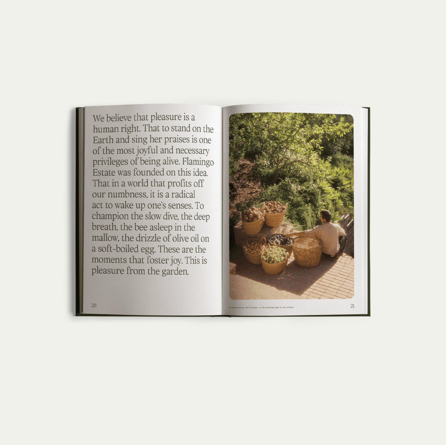 Fridays from the Garden, by Flamingo Estate Los Angeles