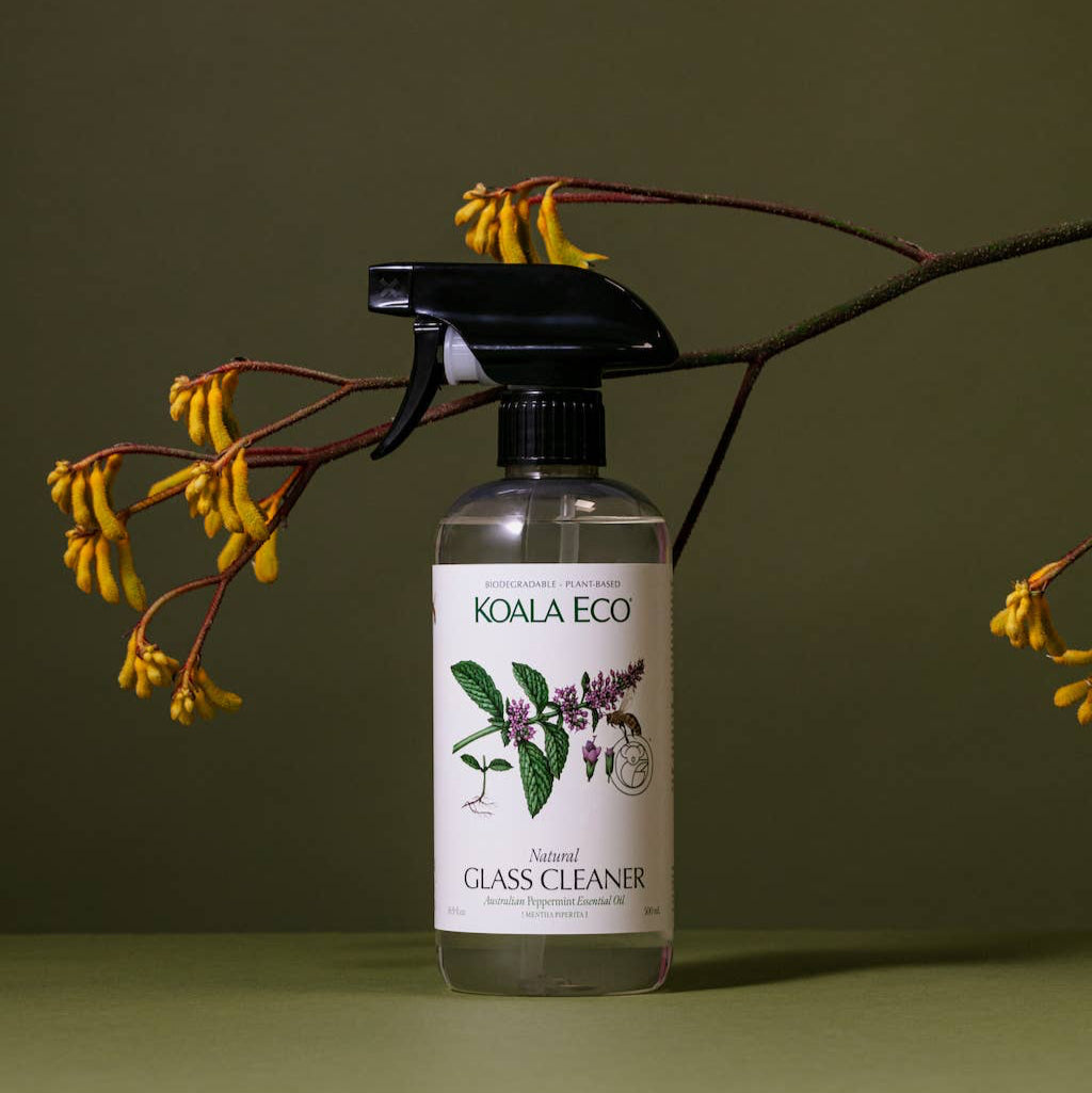 A bottle of koala eco glass cleaner on a green background. 