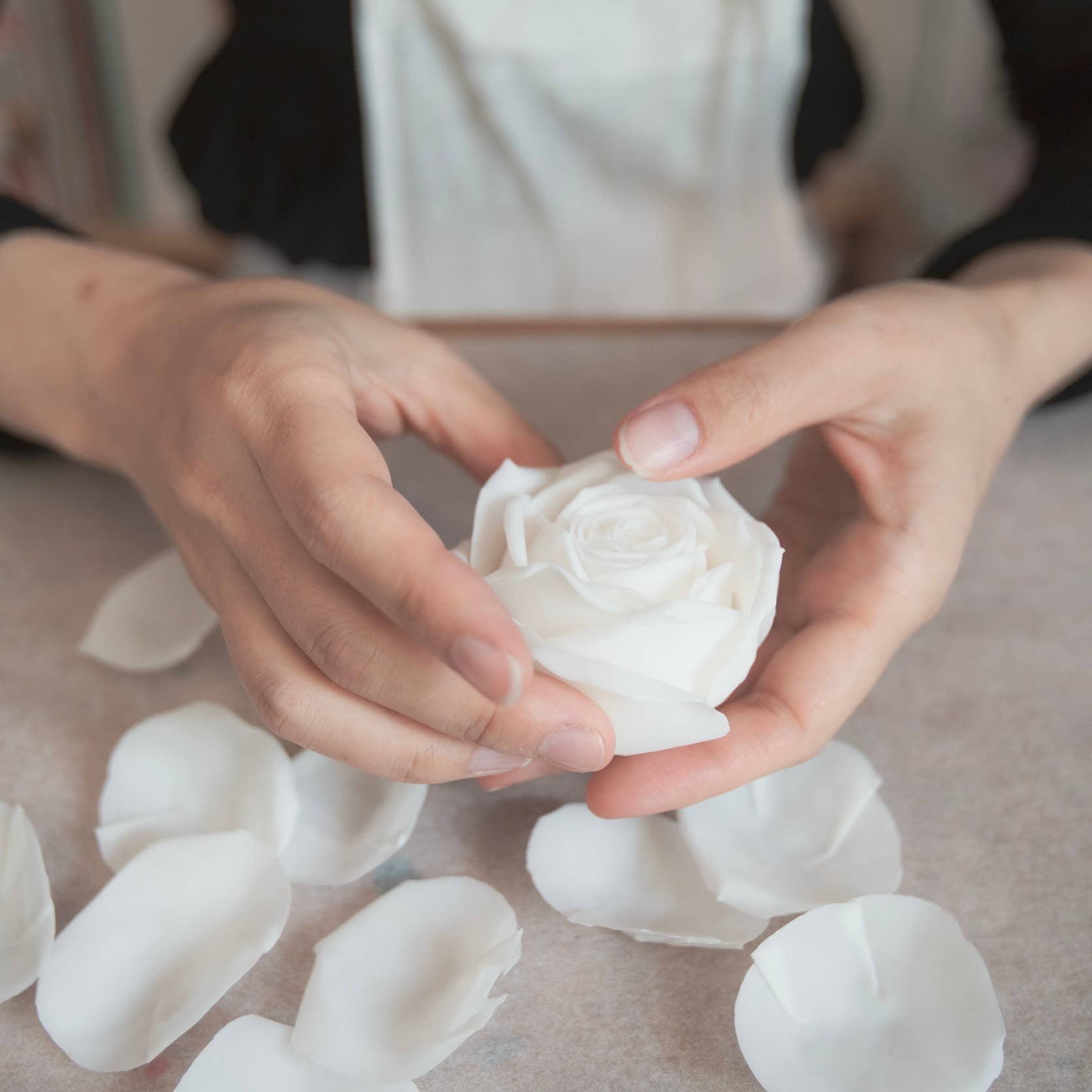 Person holding a white flower with petals scattered on a neutral background