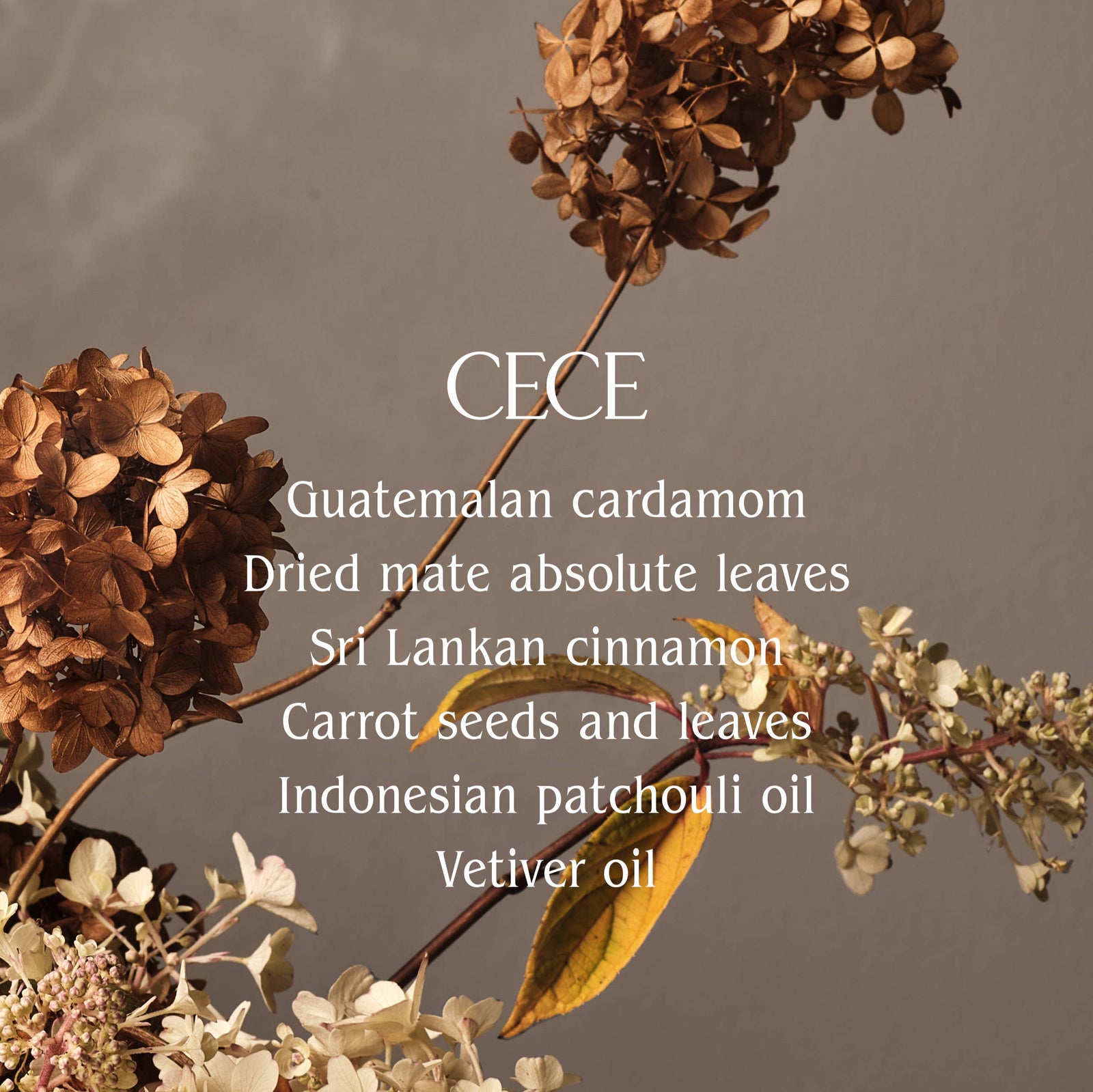 Black bottle of HOMECOURT dish soap with dried flowers on a neutral background